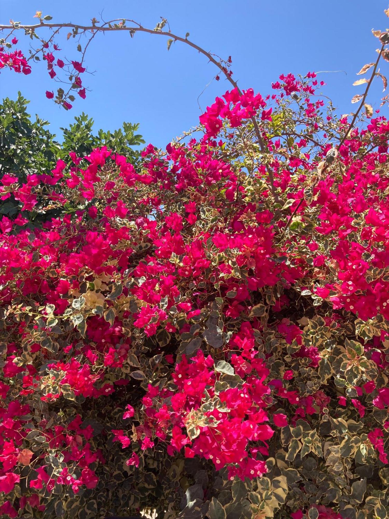 Casinha Serena Santo Estevao  Esterno foto
